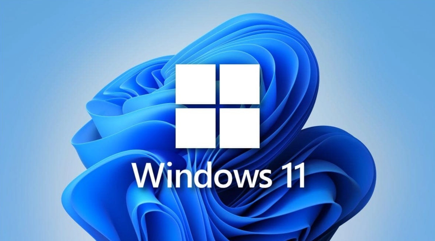 windows 11