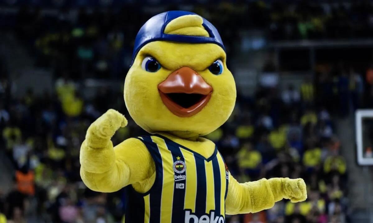 fenerbahçe beko
