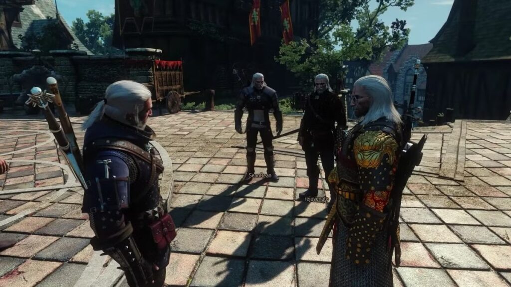 the witcher 3