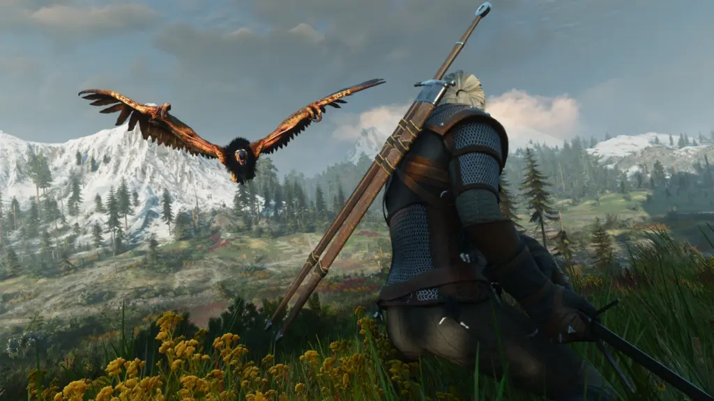 The Witcher